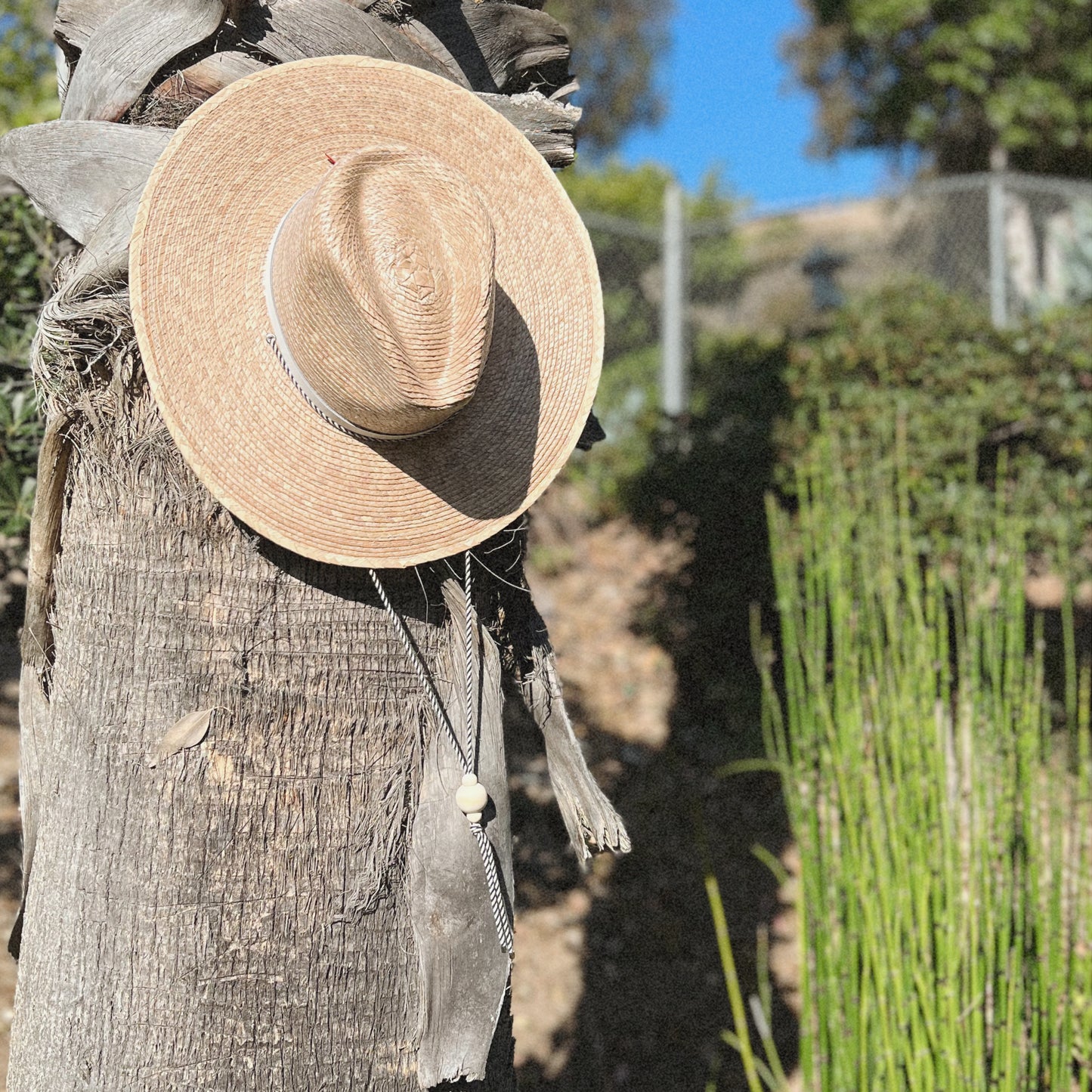 Seaside Fedora